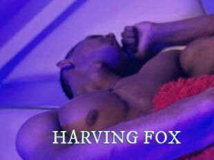 HARVING_FOX