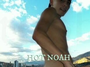 HOT_NOAH