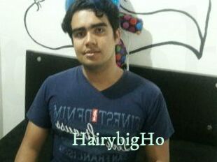 HairybigHo