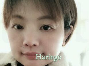 Haringo