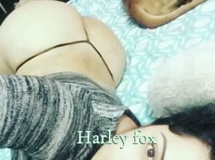 Harley_fox