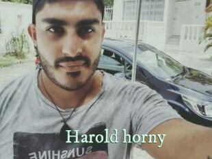 Harold_horny