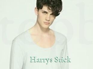 Harrys_Stick