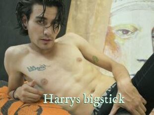 Harrys_bigstick