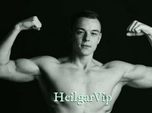 HeilgarVip