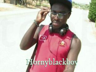 Hornyblackboy