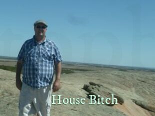 House_Bitch