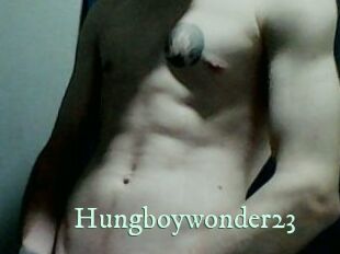 Hungboywonder23