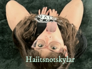 Haiitsnotskylar