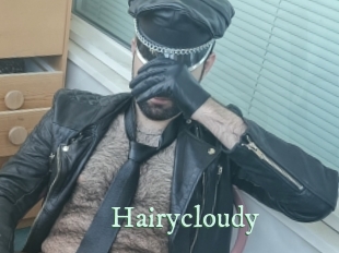 Hairycloudy