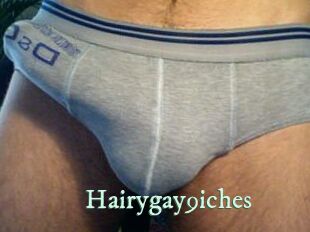 Hairygay9iches