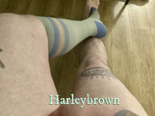 Harleybrown