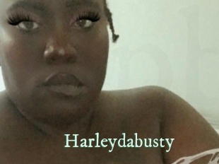 Harleydabusty