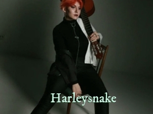 Harleysnake