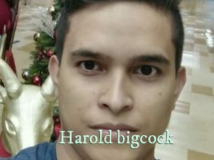 Harold_bigcock