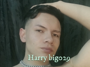 Harry_big029