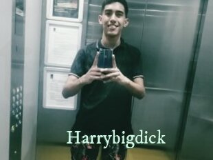 Harrybigdick