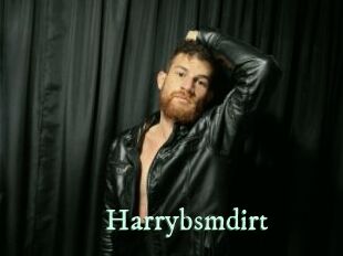 harrybsmdirt Top Blog X