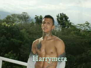 Harrymera