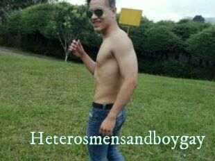 Heterosmensandboygay