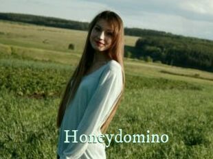 Honeydomino