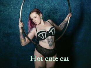 Hot_cute_cat