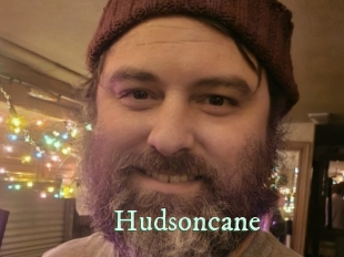 Hudsoncane