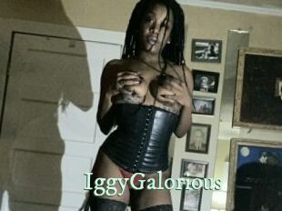 IggyGalorious