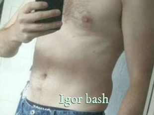 Igor_bash