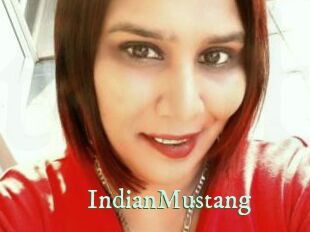 IndianMustang