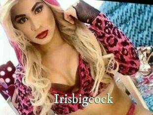 Irisbigcock