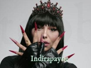 indirapayne Top Blog X