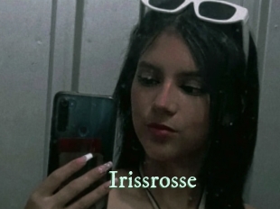 Irissrosse