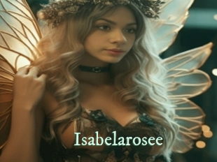 Isabelarosee