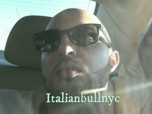 Italianbullnyc