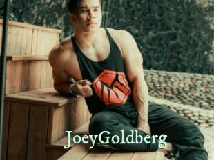 JoeyGoldberg