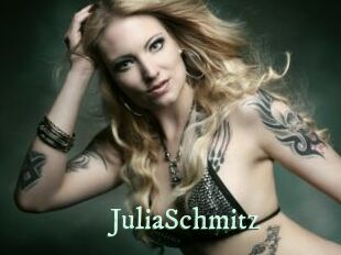JuliaSchmitz Top Blog X
