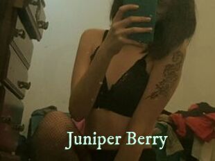 Juniper_Berry