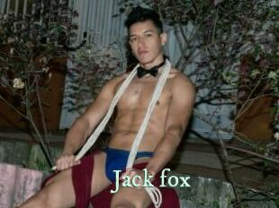 Jack_fox