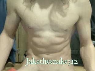 Jakethesnake312