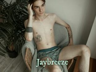 Jaybreeze