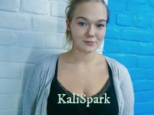 KaliSpark