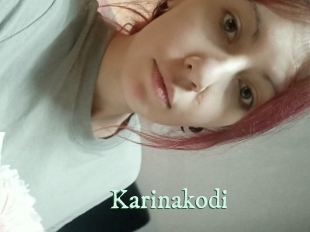 Karinakodi