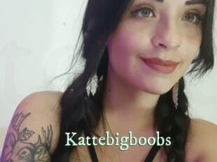 Kattebigboobs