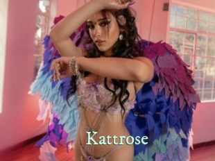 Kattrose