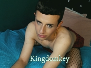 Kingdomkey