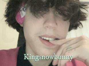 Kingsnowbunny