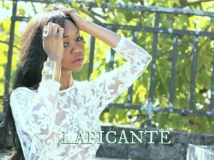 LAPICANTE