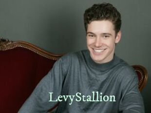 LevyStallion