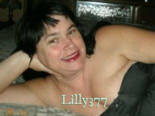 Lilly377